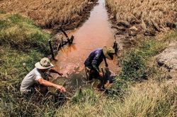Cao điểm xâm nhập mặn: Thủ tướng yêu cầu kiên quyết không để người dân không có nước sinh hoạt