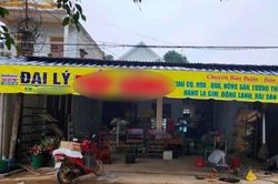 Hai vợ chồng ở Thanh Hóa tử vong trong tư thế treo cổ ở nhà kho