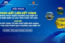 Liên kết vùng phát triển thương mại điện tử các tỉnh Tây Bắc