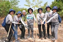Trồng 2.700 cây lim tại rừng phòng hộ Phước Thuận