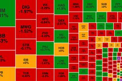 PNJ vượt đỉnh khi giá vàng 'nhảy múa', một mã ngân hàng tăng trần hơn 14%