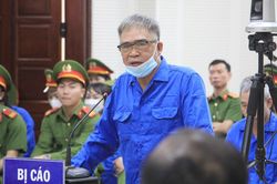 Ông Đỗ Hữu Ca khai giữ 35 tỷ để tìm cách khắc phục hậu quả, không hứa chạy án