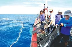 Khai thác thủy sản không có Giấy phép bị phạt tới 100 triệu đồng
