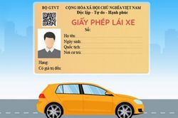 Quy trình đào tạo nâng hạng giấy phép lái xe từ ngày 1/6/2024
