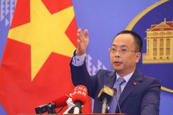 Việt Nam thất vọng với báo cáo của các cơ quan Liên Hợp Quốc