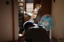 Hiệu ứng con chuột chũi: Ở nhà quá lâu sẽ khiến bạn ngốc nghếch đi