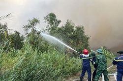 Cà Mau điều tra nguyên nhân vụ cháy 40 ha rừng