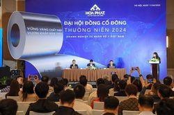 ĐHĐCĐ 2024: Chủ tịch HĐQT Trần Đình Long của Hòa Phát khẳng định: 'Việc khởi xướng điều tra chống bán phá giá (CBPG) là theo chuẩn WTO và là điều thông thường'