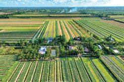 Vụ màu cuối hạn