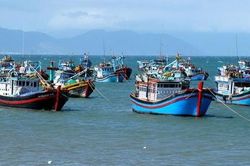 Ban Bí thư yêu cầu quyết tâm gỡ 'thẻ vàng' IUU ngành thủy sản trong năm 2024