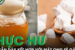 Thực hư việc dùng bột sắn dây kết hợp với mật ong sẽ gây độc