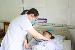Cô gái trẻ nhập viện sau khi ăn thịt chim bồ câu