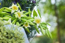 Thời tiết hôm nay ngày 12/4/2024: Hà Nội hửng nắng, Đà Nẵng và TP. Hồ Chí Minh nắng nóng