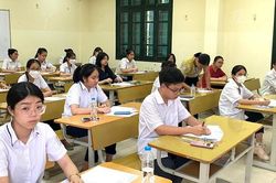 Học sinh đoạt giải thành phố được cộng điểm khi dự tuyển vào lớp 10 chuyên