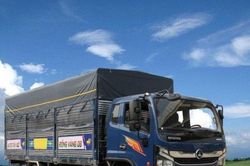 Xe tải Đồng vàng D8 - Mẫu xe được thiết kế tối ưu cho vận chuyển hàng hóa