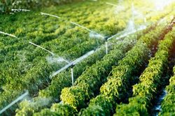 Khai mở đường lớn nền kinh tế nông nghiệp xanh