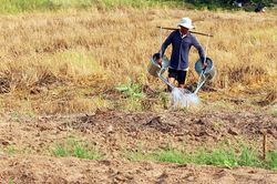 Góc nhìn 365: Quay quắt cùng hạn mặn miền Tây