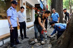 Hà Nội ra quân xử lý hành vi bức hại cây sao đen tại phố Lò Đúc