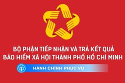 BHXH Việt Nam: Hướng dẫn về việc sử dụng bộ nhận diện thương hiệu của Bộ phận Một cửa