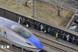 Nhật Bản: 'Vị khách' bất ngờ làm trễ giờ tàu cao tốc shinkansen