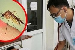 Bản tin 19/4: Dịch sốt xuất huyết lại tăng mạnh