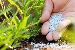 Chính phủ yêu cầu Bộ Tài chính hoàn thiện Luật Thuế giá trị gia tăng, thêm 12 loại hàng chịu thuế