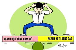 ở Việt Nam mình học đại học ngành gì ra trường làm việc lương cao ông giáo?