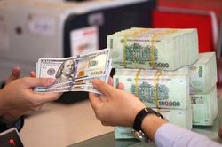 Tỷ giá USD hôm nay 21/4/2024: Giảm nhẹ?