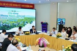 Mang Yang – Gia Lai hội đủ yếu tố để trở thành 'thiên đường bò sữa' Việt Nam