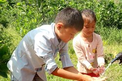 Nước sạch cho đồng bào dân tộc thiểu số, miền núi