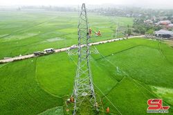 Khẩn trương khắc phục sự cố lưới điện do giông, lốc