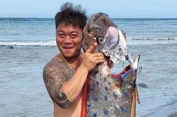 Người đàn ông câu được con cá mái chèo khổng lồ dài 6m, nặng 130kg