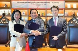 T&T Group, Tập đoàn SK và tỉnh Quảng Trị hợp tác chuyển đổi năng lượng