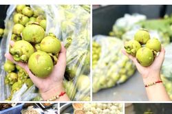 Vào mùa thưởng thức món ngon từ trái cây