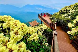 Nắng nóng hơn 40 độ C, hàng ngàn du khách vẫn đổ về Sa Pa, Hạ Long, Sầm Sơn trong ngày đầu nghỉ lễ