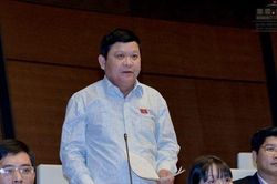 Tự hào ngày Chiến thắng và bảo vệ sự thật lịch sử