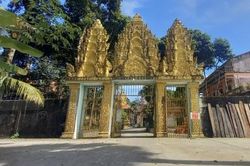 Kỳ lạ ngôi chùa có hàng ngàn con vạc quý trú ngụ hơn 2 thập kỷ