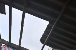 Giông lốc làm đổ cây, tốc mái nhà