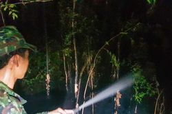 Thủ tướng chỉ đạo 'nóng' các biện pháp phòng, chữa cháy rừng