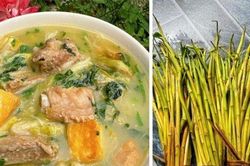 Loại rau tuổi thơ không biết làm thì ngứa rách miệng, người thích ăn chỉ nhìn đã thấy thèm