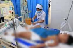 Vụ nghi ngộ độc sau ăn bánh mì tại Đồng Nai: Gần 300 người nhập viện