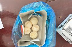 Mẹ chồng, nàng dâu nộp phạt hơn 1 tỷ đồng vì mua trứng rùa biển
