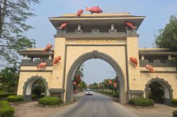 Về vùng quê không còn chó thả rông ở Nghệ An