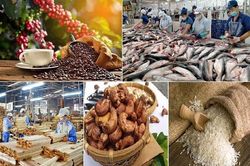 Xuất khẩu nông lâm thủy sản sang Trung Quốc tăng mạnh