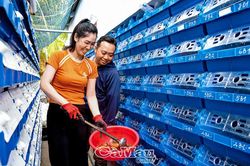 Nuôi cua công nghệ cao