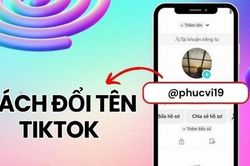 Cách đổi tên người dùng, ID TikTok trên điện thoại, máy tính cực đơn giản