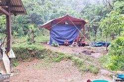 Truy tìm nghi phạm sát hại người tình rồi bỏ trốn vào rừng sâu