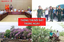 Nghệ An: Thông tin nổi bật ngày 8/5