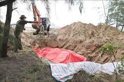 Nghệ An: Phát hiện xác cá voi nặng khoảng hơn 10 tấn trôi dạt vào bờ