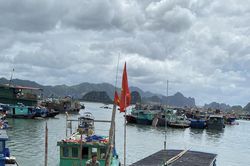 Giảm khai thác, tăng nuôi trồng để phát triển kinh tế biển bền vững